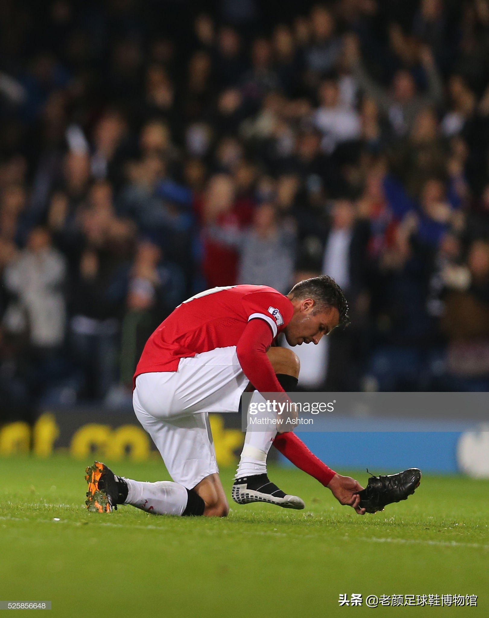 当灯光落在 当灯光落在